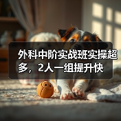 外科中阶实战班实操超多，2人一组提升快 - 辰飞雨新生家伴