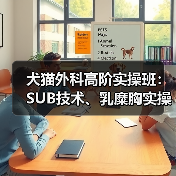 犬猫外科高阶实操班:SUB技术、乳糜胸实操全掌握!(图2) 犬猫外科高阶实操班:SUB技术、乳糜胸实操全掌握!(图2)