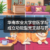 华南农业大学兽医学院成立功能型党支部与管理委员会，强基固本促 - 辰飞雨新生家伴