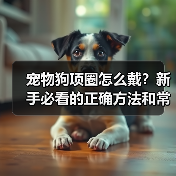 宠物狗项圈怎么戴？新手必看的正确方法和常