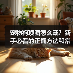 宠物狗项圈怎么戴?新手必看的正确方法和常见误区!(图2) 宠物狗项圈怎么戴?新手必看的正确方法和常见误区!(图2)