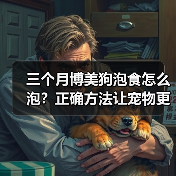 三个月博美狗泡食怎么泡？正确方法让宠物更