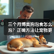 三个月博美狗泡食怎么泡?正确方法让宠物更健康(图3) 三个月博美狗泡食怎么泡?正确方法让宠物更健康(图3)