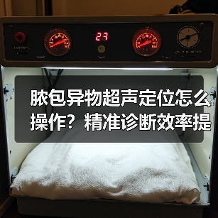 脓包异物超声定位怎么操作？精准诊断效率提升秘籍 - 辰飞雨新生家伴