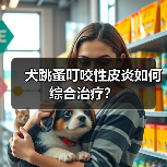 犬跳蚤叮咬性皮炎如何综合治疗?(图3) 犬跳蚤叮咬性皮炎如何综合治疗?(图3)