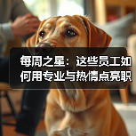 每周之星:这些员工如何用专业与热情点亮职场?(图4) 每周之星:这些员工如何用专业与热情点亮职场?(图4)