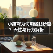 小猫咪为何痴迷爬纱窗?天性与行为解析(图2) 小猫咪为何痴迷爬纱窗?天性与行为解析(图2)