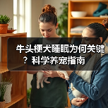 牛头梗犬睡眠为何关键?科学养宠指南(图4) 牛头梗犬睡眠为何关键?科学养宠指南(图4)