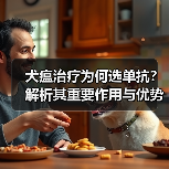 犬瘟治疗为何选单抗？解析其重要作用与优势