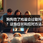 狗狗吃了鸡蛋会过敏吗？这些症状和应对方法