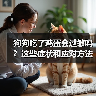狗狗吃了鸡蛋会过敏吗？这些症状和应对方法你必须知道(图2)