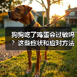 狗狗吃了鸡蛋会过敏吗？这些症状和应对方法你必须知道(图4)