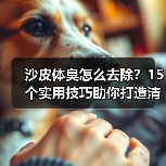 沙皮体臭怎么去除?15个实用技巧助你打造清新爱宠!(图2) 沙皮体臭怎么去除?15个实用技巧助你打造清新爱宠!(图2)