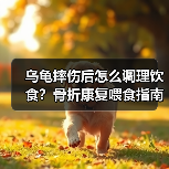 乌龟摔伤后怎么调理饮食？骨折康复喂食指南