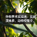 外科手术实操班：实战演练多，动物模型全，零基础也能掌握！(图2)