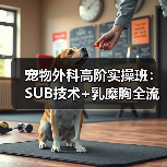 宠物外科高阶实操班：SUB技术+乳糜胸全