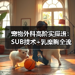 宠物外科高阶实操班:SUB技术+乳糜胸全流程掌握(图3) 宠物外科高阶实操班:SUB技术+乳糜胸全流程掌握(图3)