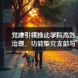 党建引领推动学院高效治理,功能型党支部与管理委员会如何助力教职工发展?(图3) 党建引领推动学院高效治理,功能型党支部与管理委员会如何助力教职工发展?(图3)