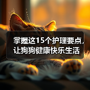 掌握这15个护理要点,让狗狗健康快乐生活(图2) 掌握这15个护理要点,让狗狗健康快乐生活(图2)