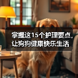 掌握这15个护理要点，让狗狗健康快乐生活