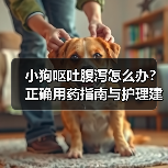 小狗呕吐腹泻怎么办？正确用药指南与护理建