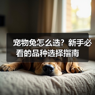 宠物兔怎么选？新手必看的品种选择指南