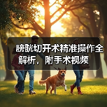 膀胱切开术精准操作全解析,附手术视频(图2) 膀胱切开术精准操作全解析,附手术视频(图2)