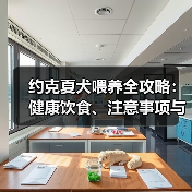 约克夏犬喂养全攻略：健康饮食、注意事项与