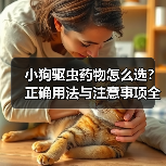 小狗驱虫药物怎么选？正确用法与注意事项全解析 - 辰飞雨新生家伴