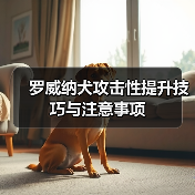 罗威纳犬攻击性提升技巧与注意事项