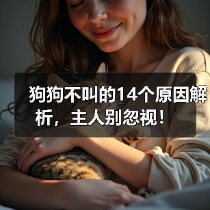 狗狗不叫的14个原因解析，主人别忽视！ - 辰飞雨新生家伴