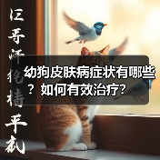 幼狗皮肤病症状有哪些？如何有效治疗？ - 辰飞雨新生家伴