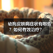 幼狗皮肤病症状有哪些？如何有效治疗？(图3)