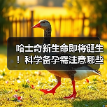哈士奇新生命即将诞生！科学备孕需注意哪些关键点？(图3)