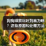 狗狗频繁呕吐到底为啥？这些原因和处理方法要了解 - 辰飞雨新生家伴