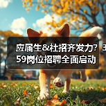 应届生&社招齐发力？359岗位招聘全面启动(图3)