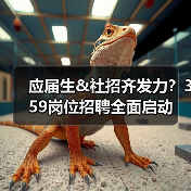 应届生&社招齐发力？359岗位招聘全面启动(图4)