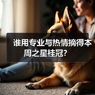 谁用专业与热情摘得本周之星桂冠？(图3)