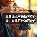 三四线城市宠物医疗逆袭：专业服务如何走进千家万户？(图2)
