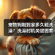 宠物狗刚到家多久能洗澡？洗澡时机关键因素