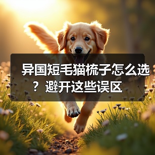 异国短毛猫梳子怎么选？避开这些误区(图3)