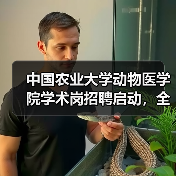 中国农业大学动物医学院学术岗招聘启动，全健康领域如何加入？(图3)