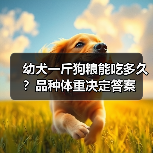 幼犬一斤狗粮能吃多久？品种体重决定答案