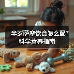 半岁萨摩饮食怎么配？科学营养指南(图3)