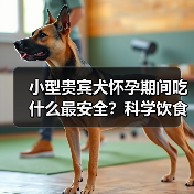 小型贵宾犬怀孕期间吃什么最安全？科学饮食保障母犬与胎儿健康(图2)