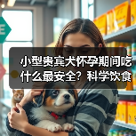 小型贵宾犬怀孕期间吃什么最安全？科学饮食保障母犬与胎儿健康(图3)
