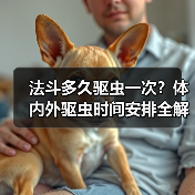法斗多久驱虫一次？体内外驱虫时间安排全解析(图2)