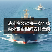 法斗多久驱虫一次？体内外驱虫时间安排全解析(图3)