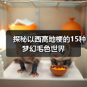 探秘以西高地梗的15种梦幻毛色世界