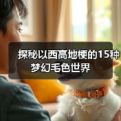 探秘以西高地梗的15种梦幻毛色世界(图4)